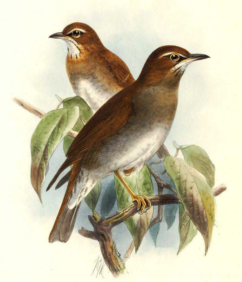 ��ͷ���������񣺴����������