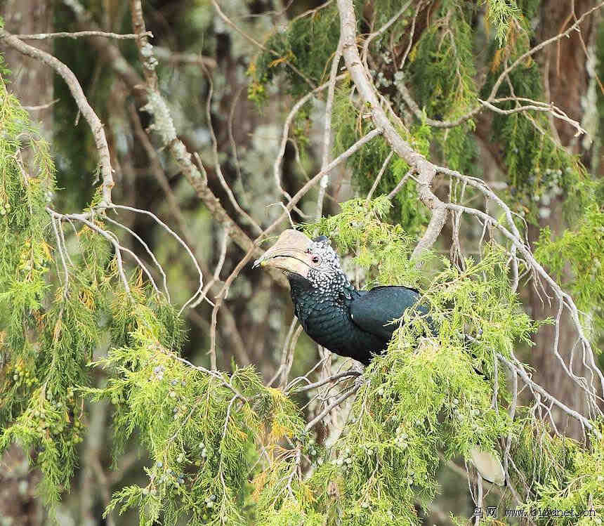 ������Ϭ����񣬿��ڸ�ƽ��