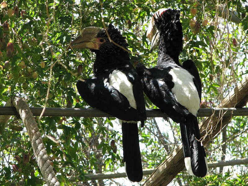 ������Ϭ��