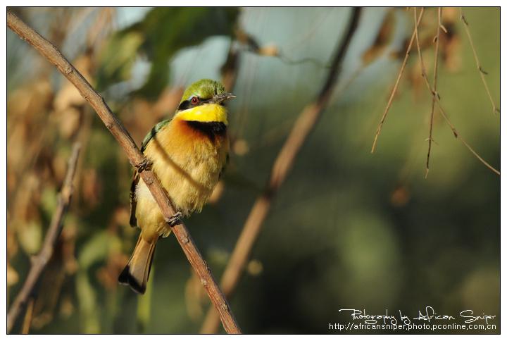 С�仢����Ӱ��������