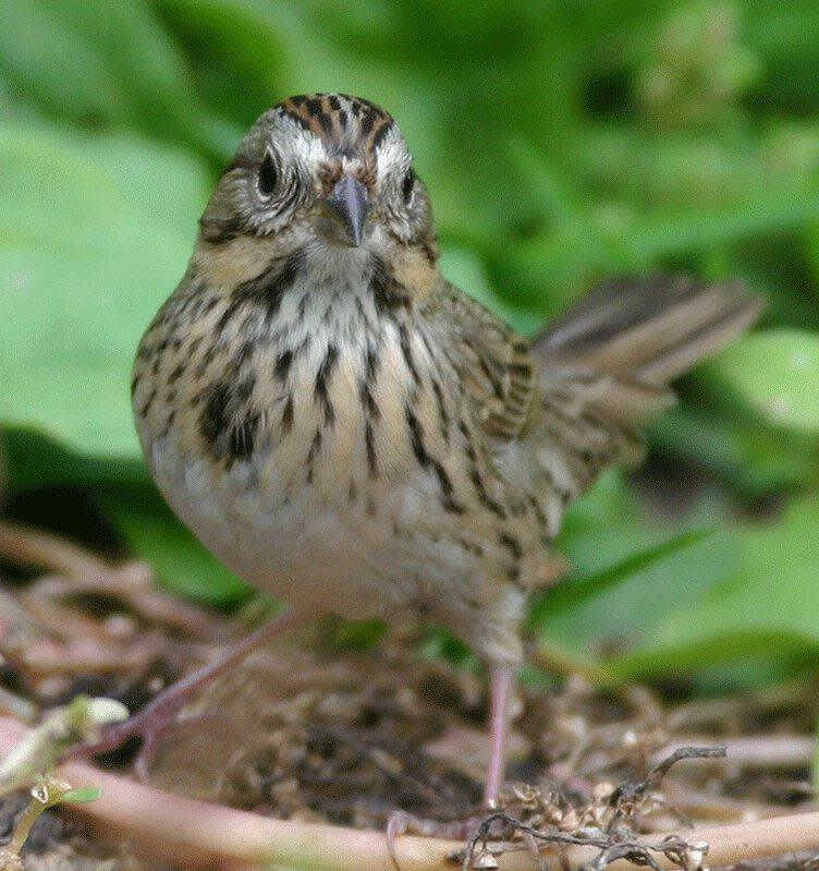 ���ϴ��c��ͷ������ϸ����