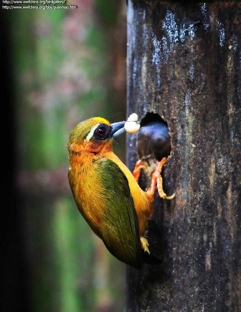 ��ü����ľ���ͼƬ