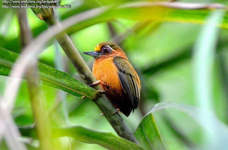 ��ü����ľ��