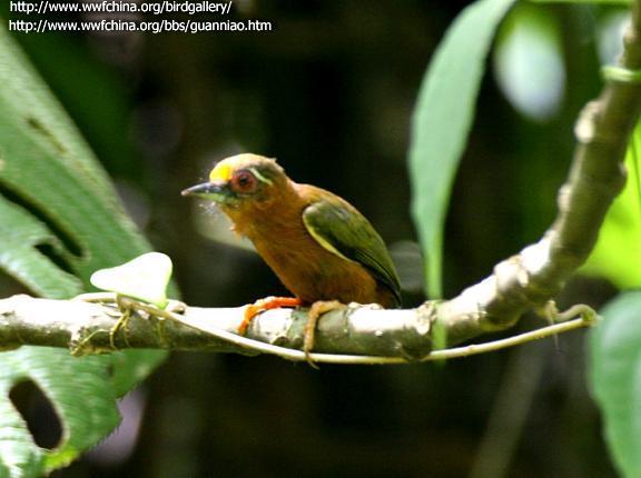 ��ü����ľ��