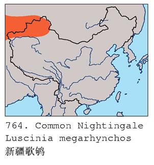 �½���𶣺�����ֲ�ͼ