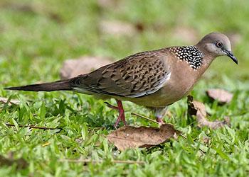 ��������龱��𣚣�������黨����