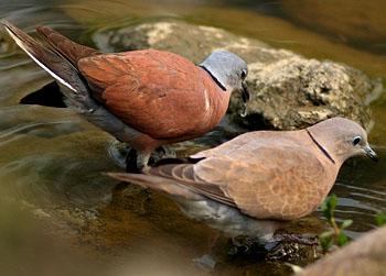 ������Ļ��楂��������ұߴ���