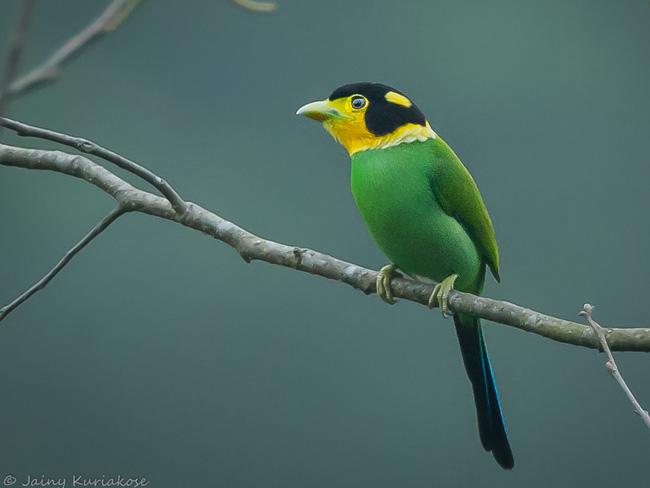 ��β�������ͼƬ