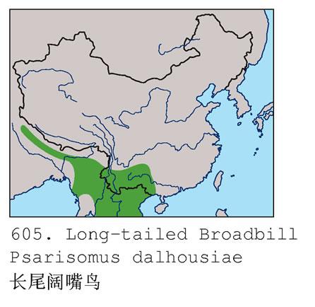 ��β����������ֲ�ͼ