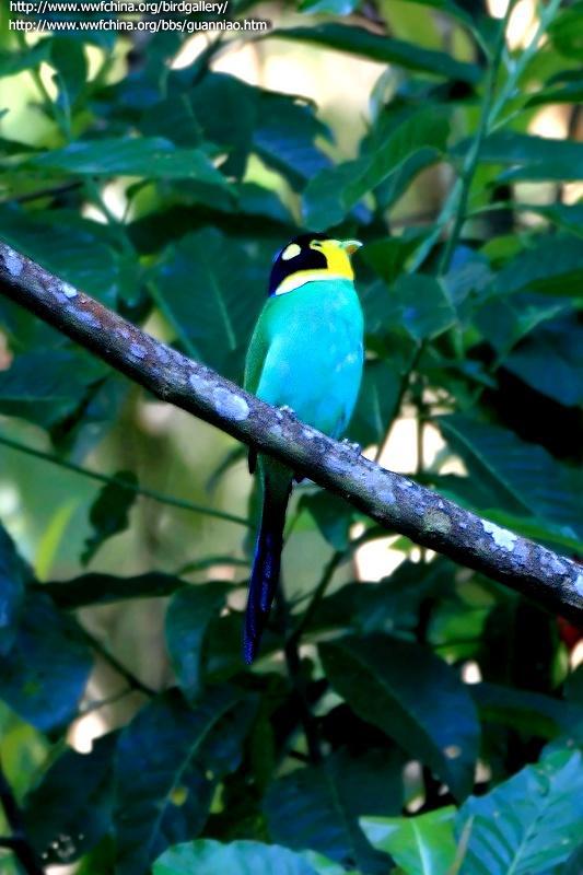 ��β��������Ӱoldman22������ص������ǰ�