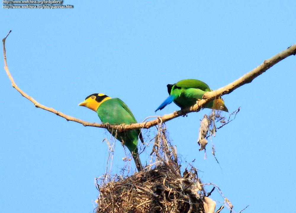 ��β��������Ӱ��ˮ��ɽ�����Σ�����������˫����