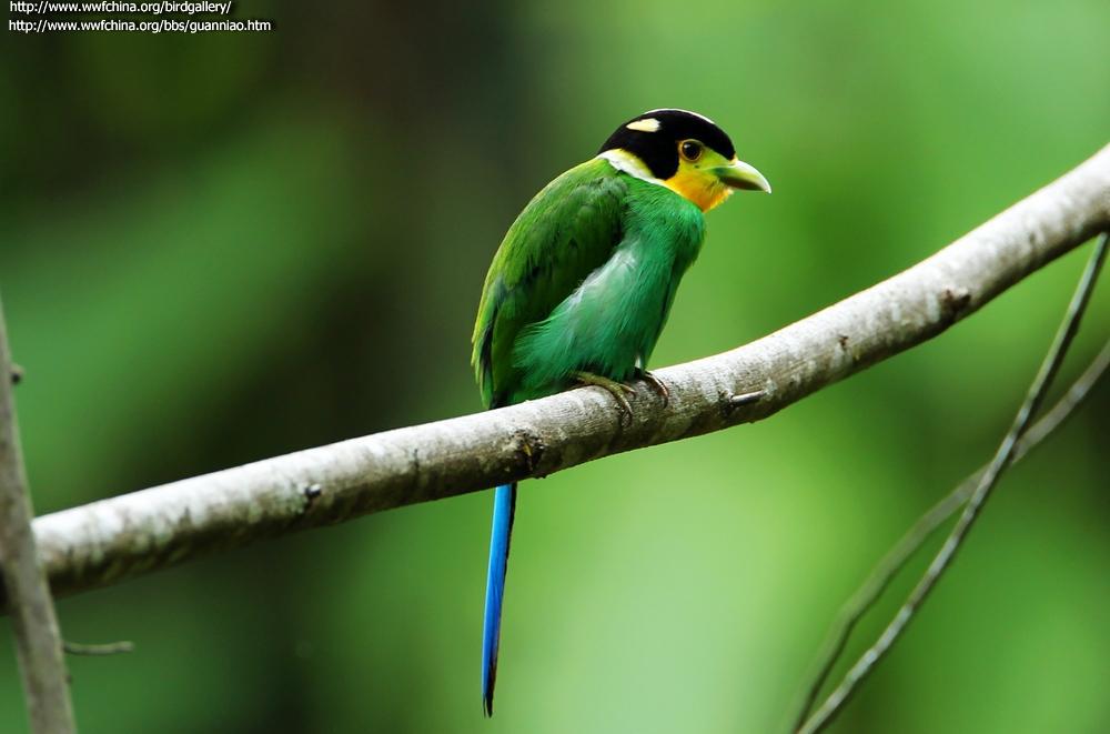 ��β��������Ӱ����Ϻ������̩��