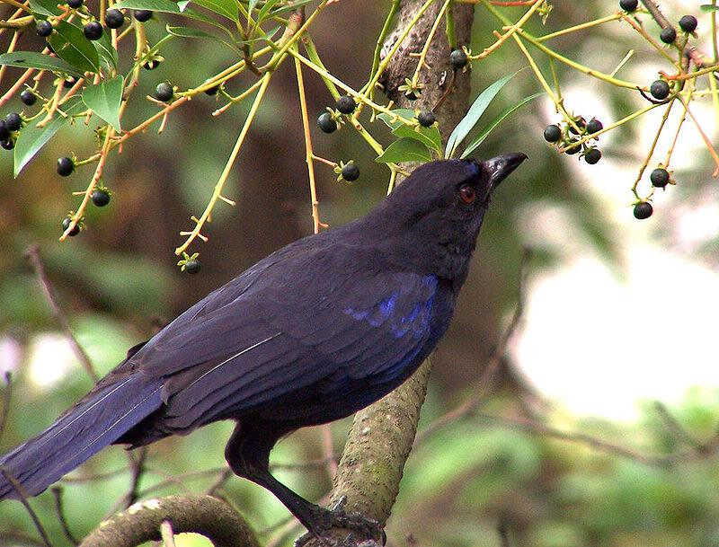 ̨����Х��ͼƬ