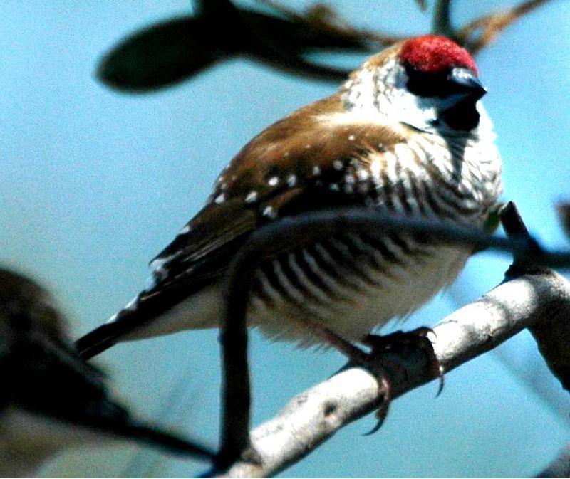 ��ͷ��ȸ��ͼƬ