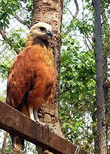 �����\��