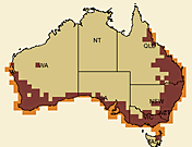 ��ü˿��ݺ�ֲ�ͼ