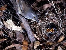 ��ü˿��ݺι������