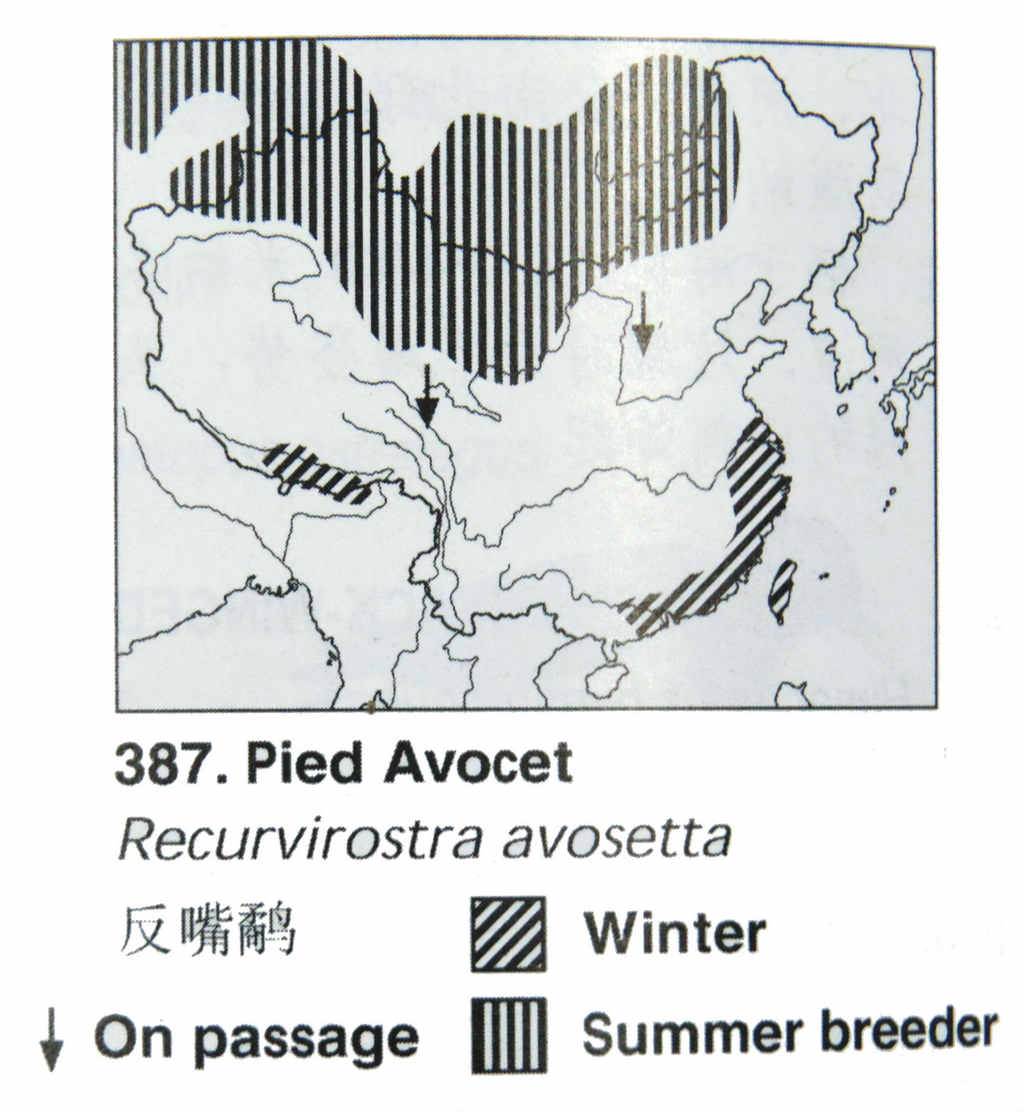 �����֣������ֲ�ͼ