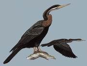 �ڸ����õ�ͼƬ