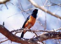 ϣ��������ͼƬ