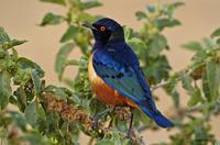 ϣ�������