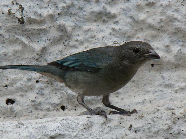 ������ȸ��ͼƬ