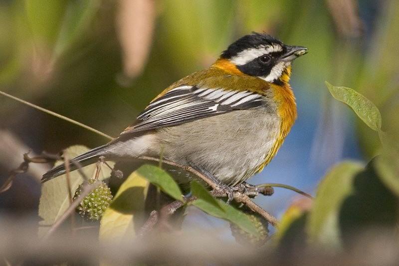 ��������ȸ��ͼƬ