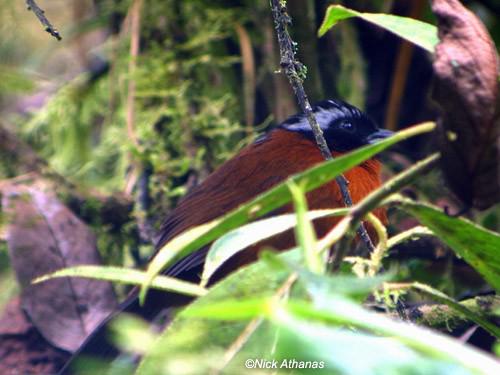 �������ȸ