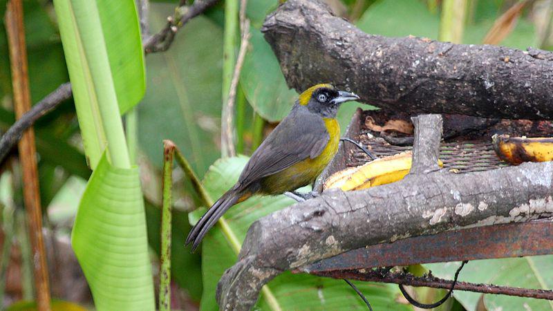 ��������ȸ��ͼƬ