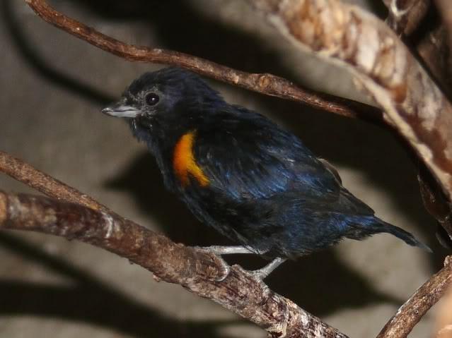 �Ƽ������ȸ