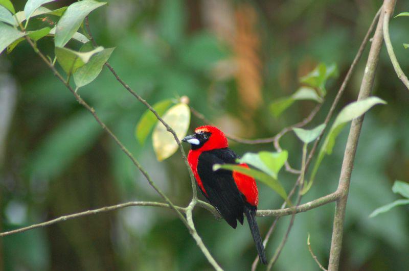 糺��������ȸ��ͼƬ