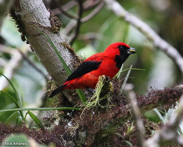 �������ȸ