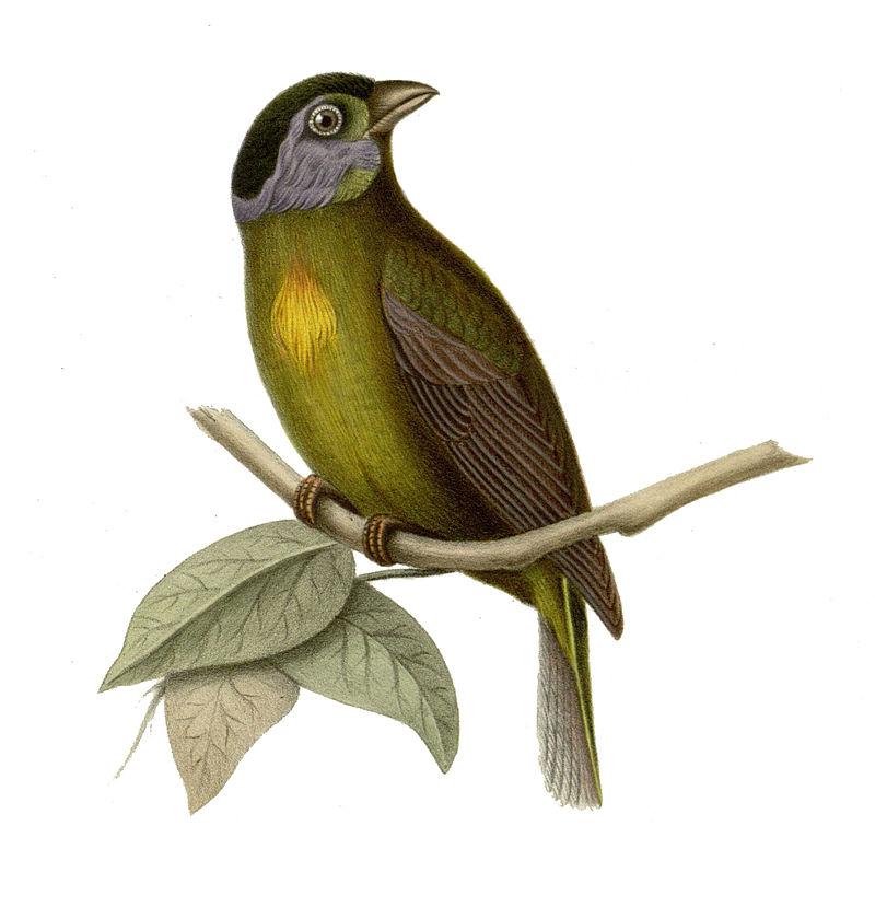 ̦������ȸ��ͼƬ