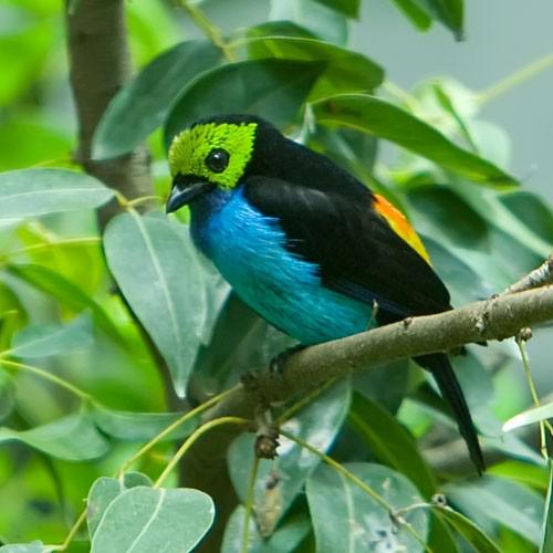 ���Ƽ���ȸ