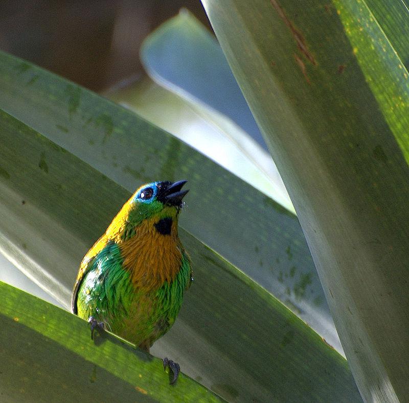 ͭ���Ƽ���ȸ��ͼƬ