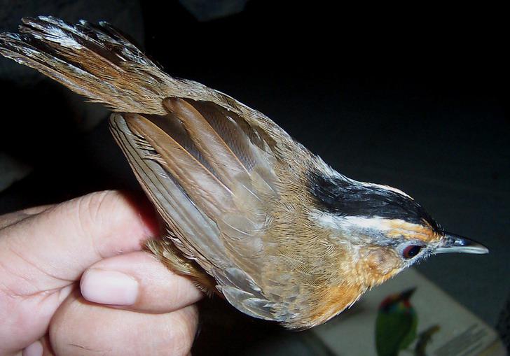 �ڹ����̵�ͼƬ