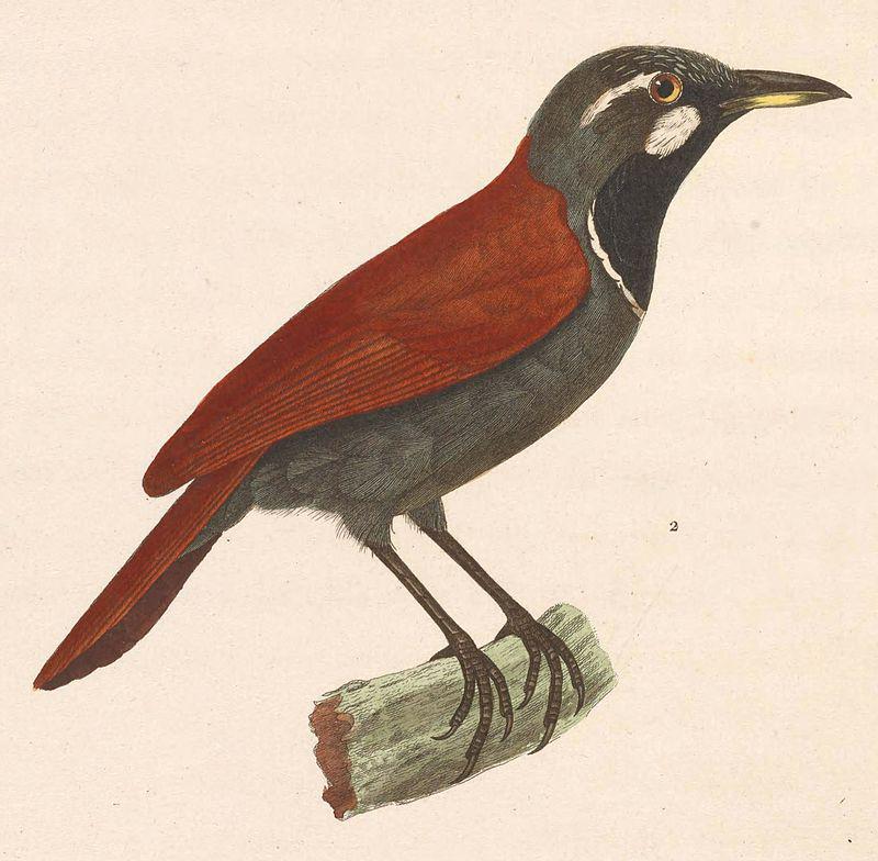 �ں����̵�ͼƬ