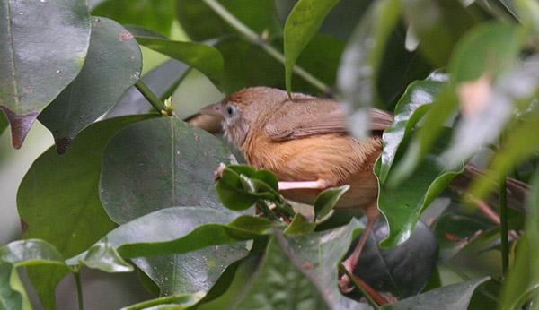 �ظ��̵�ͼƬ