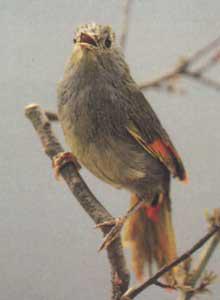 �����������ͼƬ