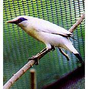 ���ڰ˸��ͼƬ