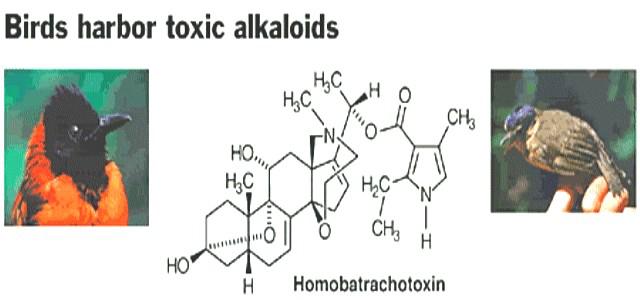 �����V�l