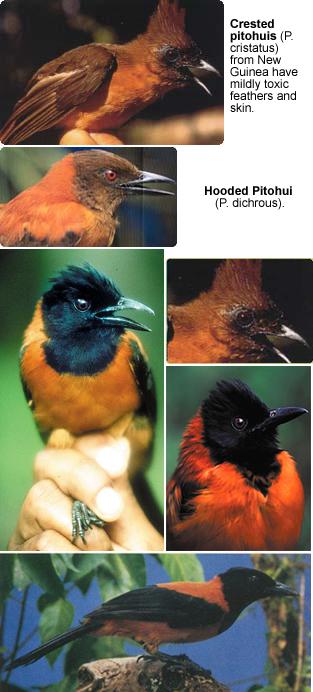 �����V�l