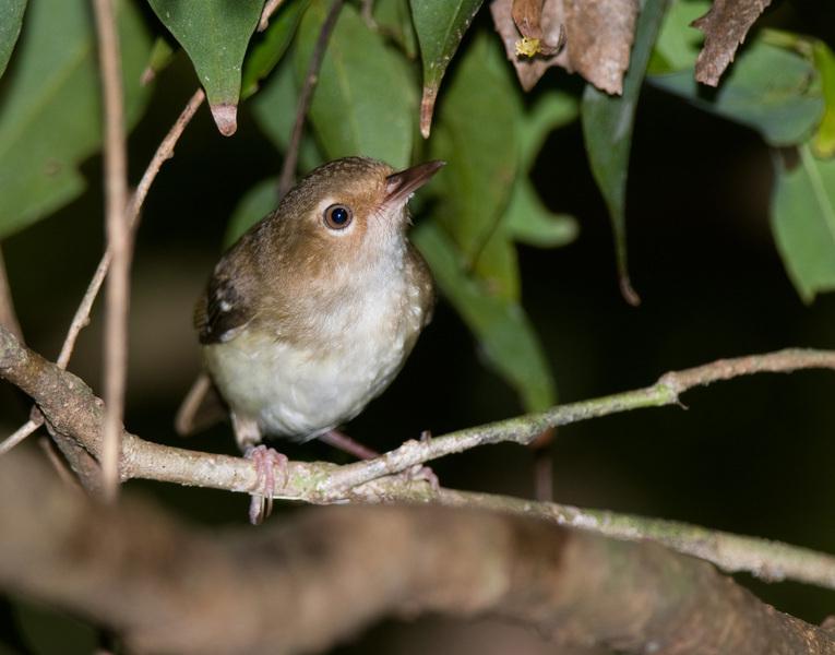 С˿��ݺ��ͼƬ