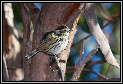 ���˿��ݺ��ͼƬ