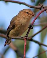 ������ݺ��ͼƬ