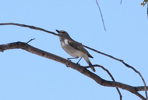 �����ݺ��ͼƬ