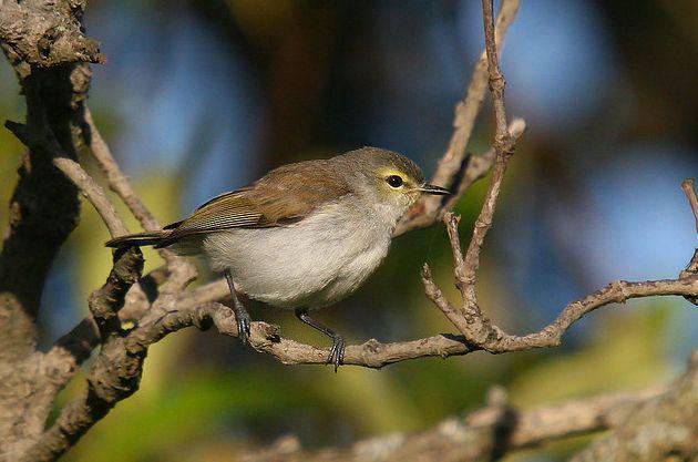 �������ݺ��ͼƬ