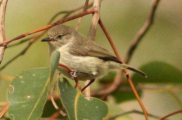 ������ݺ��ͼƬ