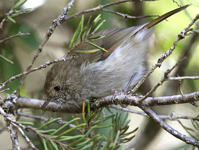 ��������ݺ��ͼƬ