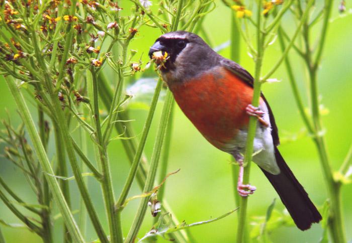 ����ͷ��l��ͼƬ